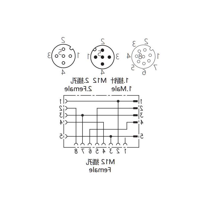 M12 8Pin female /M12 5Pin male +M12 5Pin female, Tee, 648551